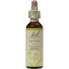 Mustard Bach Flower Remedy